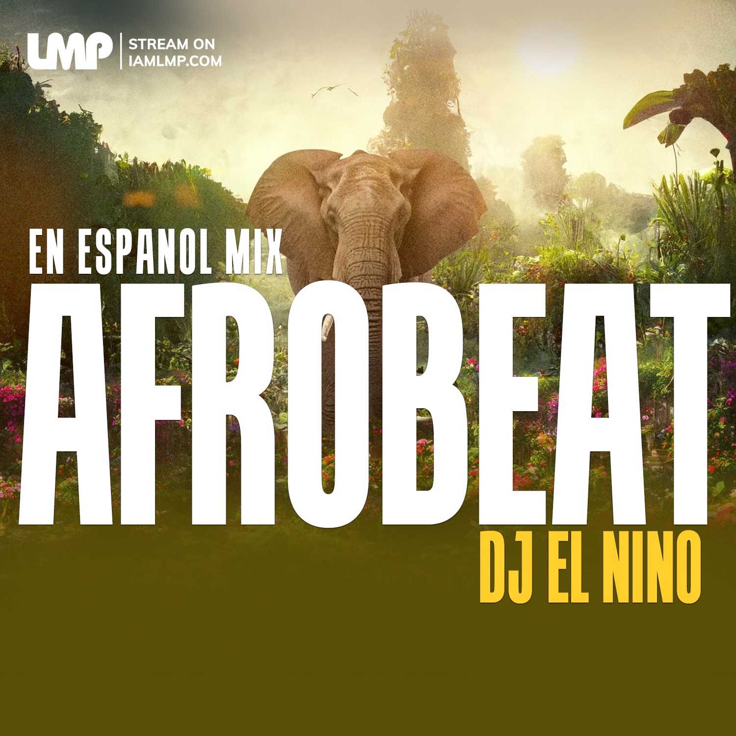 Afrobeat En Espanol